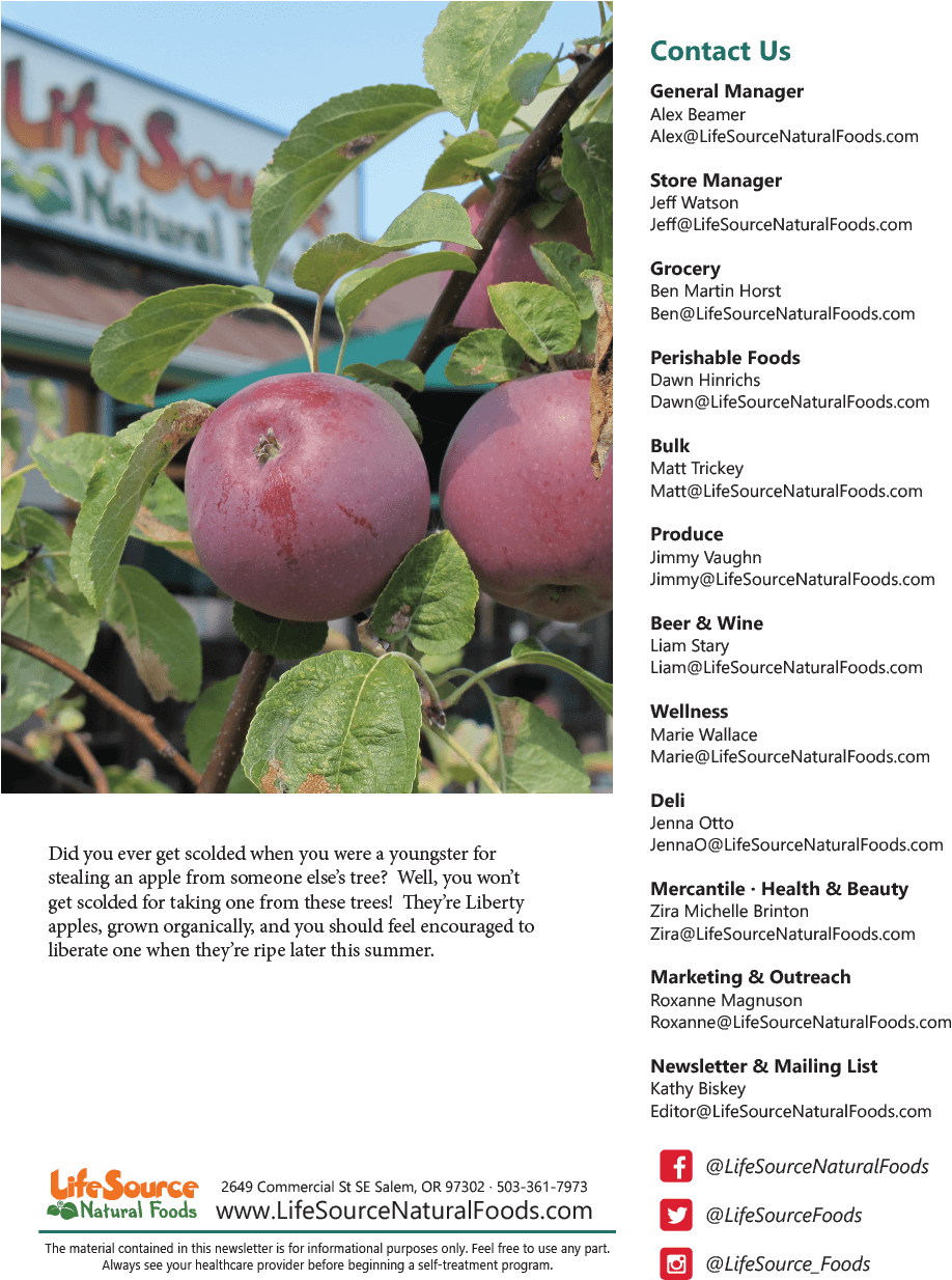 View As Magazine - Apple (976x1234), Png Download