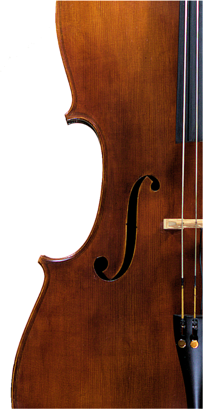 Cello Fhole - Cello (1000x1600), Png Download
