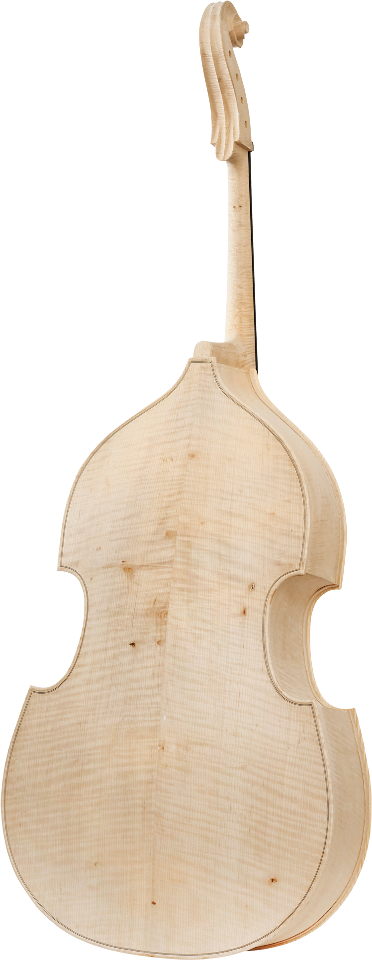 Viola (800x2000), Png Download