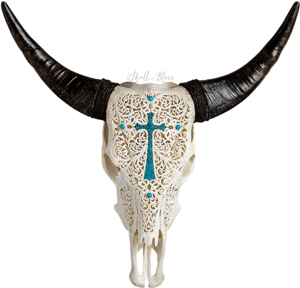 Carved Cow Skull // Xl Horns - Cattle (645x645), Png Download