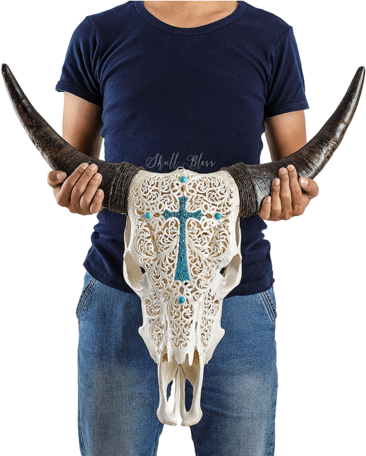 Carved Cow Skull // Xl Horns - Skull (645x645), Png Download