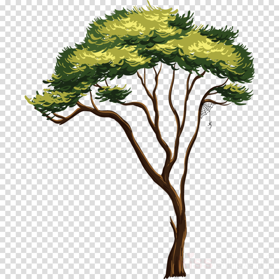 Africa Tree Png Clipart Tree Clip Art - Tree Of Tales (900x900), Png Download