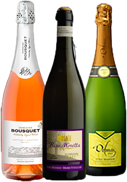 Sparkling Pack - Glass Bottle (694x709), Png Download