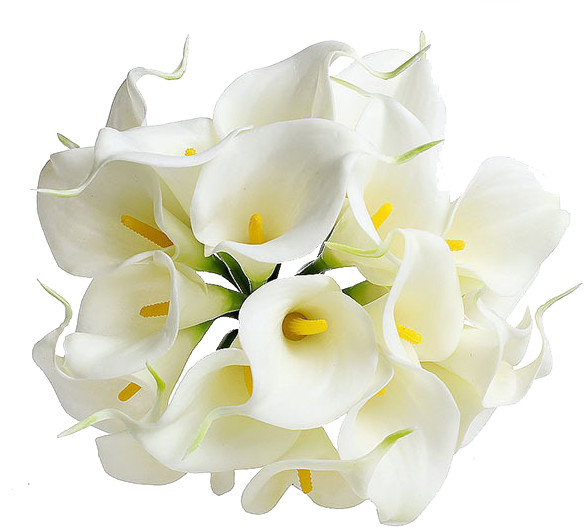 Calla Png Transparent Image - Sodial Calla Lily Bridal Wedding Bouquet 10 Head Latex (600x600), Png Download