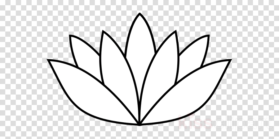 White Lotus Flower Drawing Clipart Drawing Clip Art - Lotus Flower Drawing (900x450), Png Download