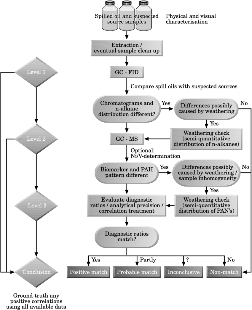 Protocol/decision Chart For The Oil Spill Identi®cation - Science (850x1047), Png Download