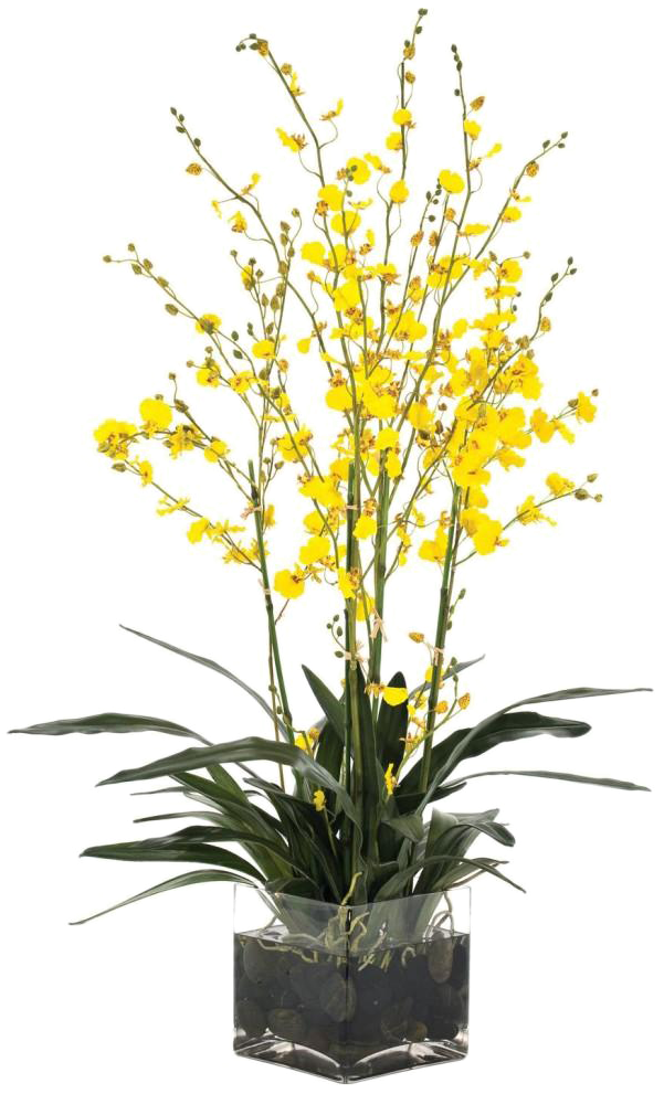 Flower Vase Png Transparent Picture - Vase (615x1000), Png Download