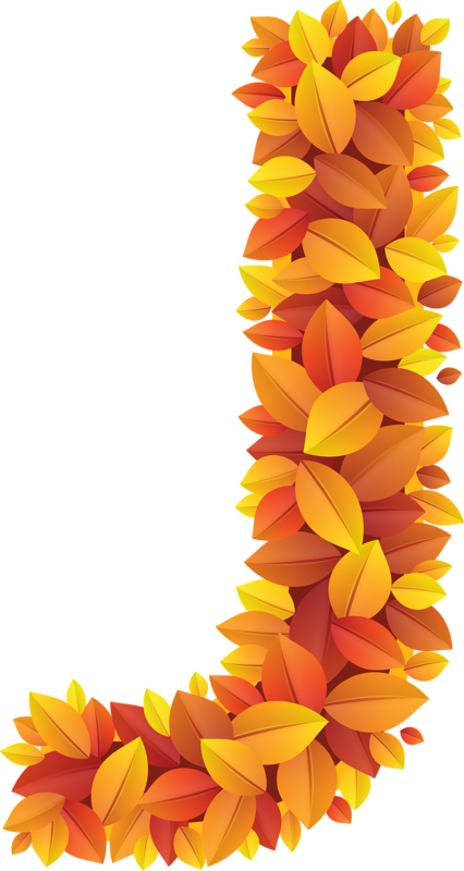 Who Adores Fall - Autumn Flowers Letter J (426x800), Png Download