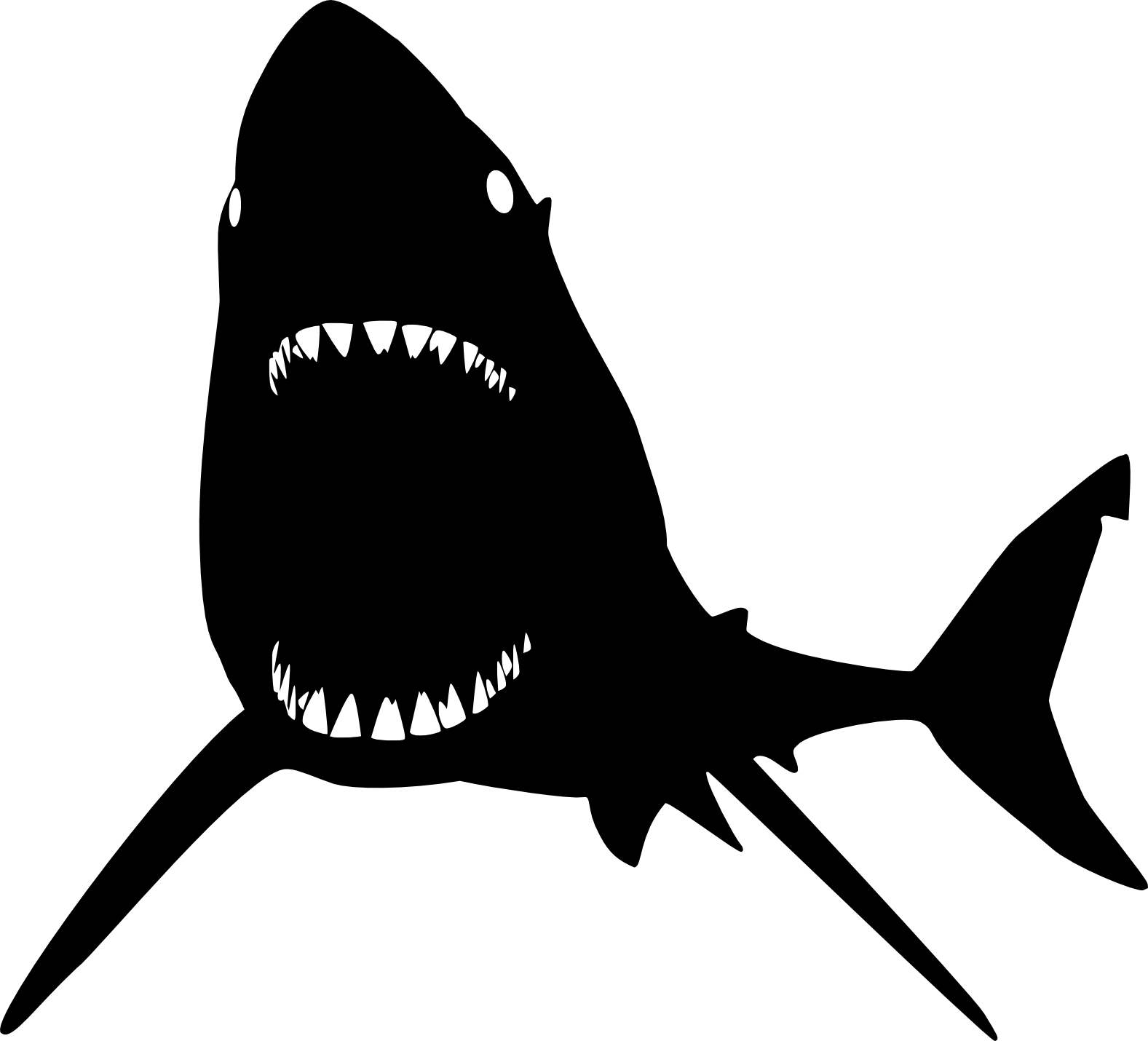 Black And White Shark Png (1577x1430), Png Download