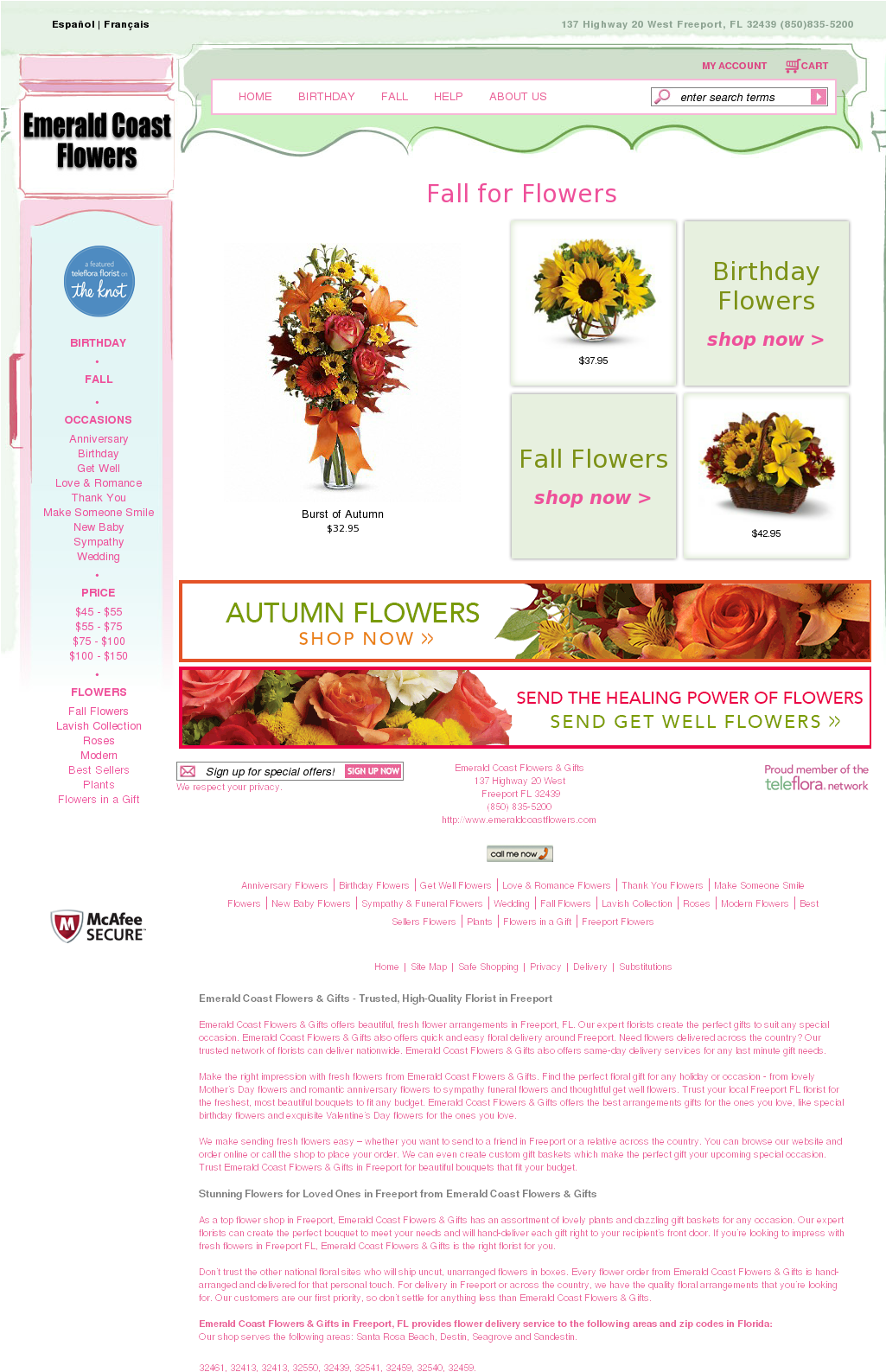 Emerald Coast Flowers & Gifts Competitors, Revenue - Burst Of Autumn Flowers Vase (1024x1600), Png Download