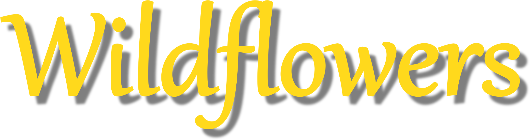 Wedding Flowers, Floral Arrangements, Leeds, Ilkley, (2218x1143), Png Download