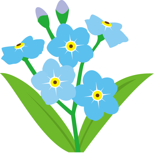 Forget Me Not Png - Forget Me Not Flower Clipart (617x614), Png Download