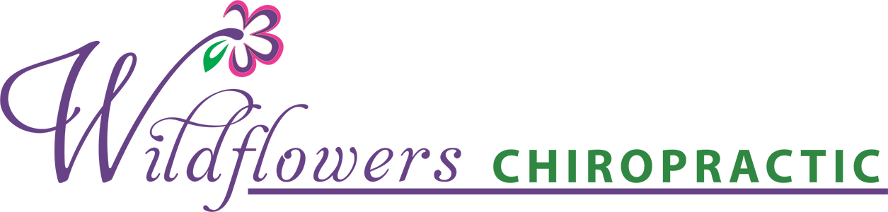 Wildflowers Chiropractic Wildflowers Chiropractic - Chiropractic (1255x300), Png Download