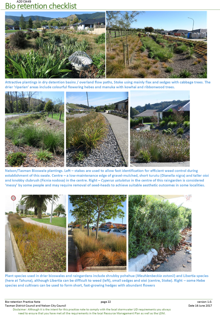 Pdf Creator - Attalea Speciosa (750x1068), Png Download