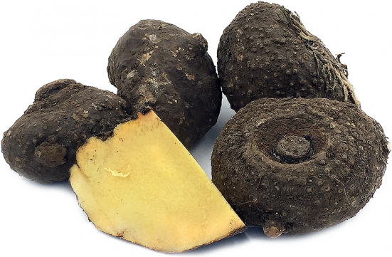 Yam,suran - Suran Yam (550x650), Png Download