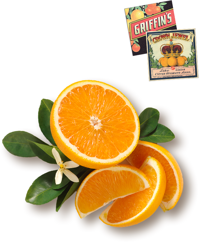 Orange Juice (640x778), Png Download