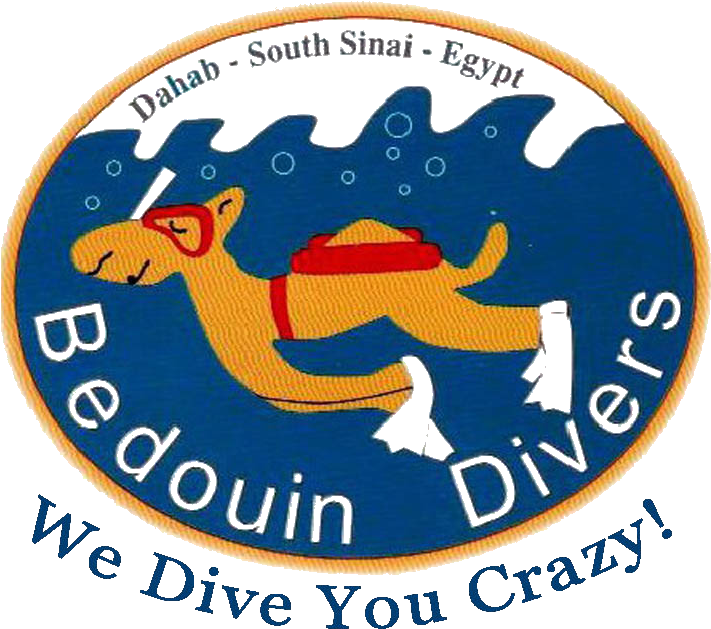 Bedouin Divers Logo - Bedouin Divers Dahab (753x718), Png Download