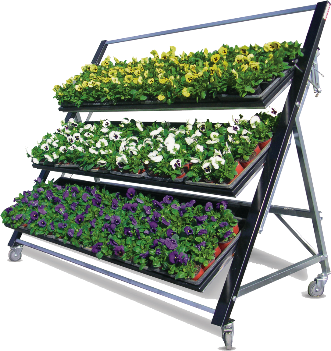 Tiered Plant Retail Display Unit - Png Transparent Plant Display (1800x1200), Png Download