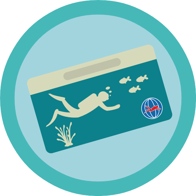 Learn To Dive (640x640), Png Download