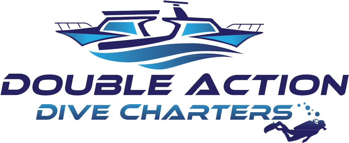 Double Action Dive Charters (1193x552), Png Download