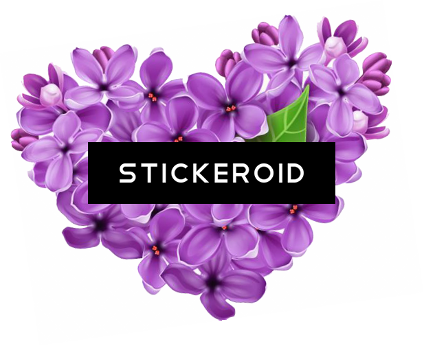 Lilac Flowers - Purple Vector Flower Png (617x504), Png Download
