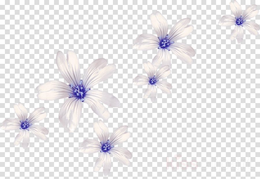 Lilac Clipart Body Jewellery Cut Flowers - Beauty And Beast Silhouette Transparent (900x620), Png Download