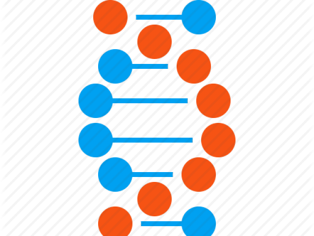 Pheromones Png (640x480), Png Download