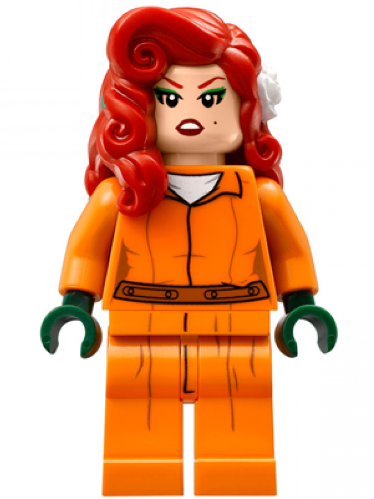 Lego Batman: Poison Ivy Minifigure (980x980), Png Download