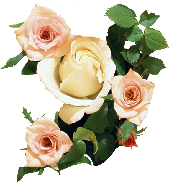 Imagens Pngs De Flores Diversas - Happy Anniversary With White Flower (593x620), Png Download
