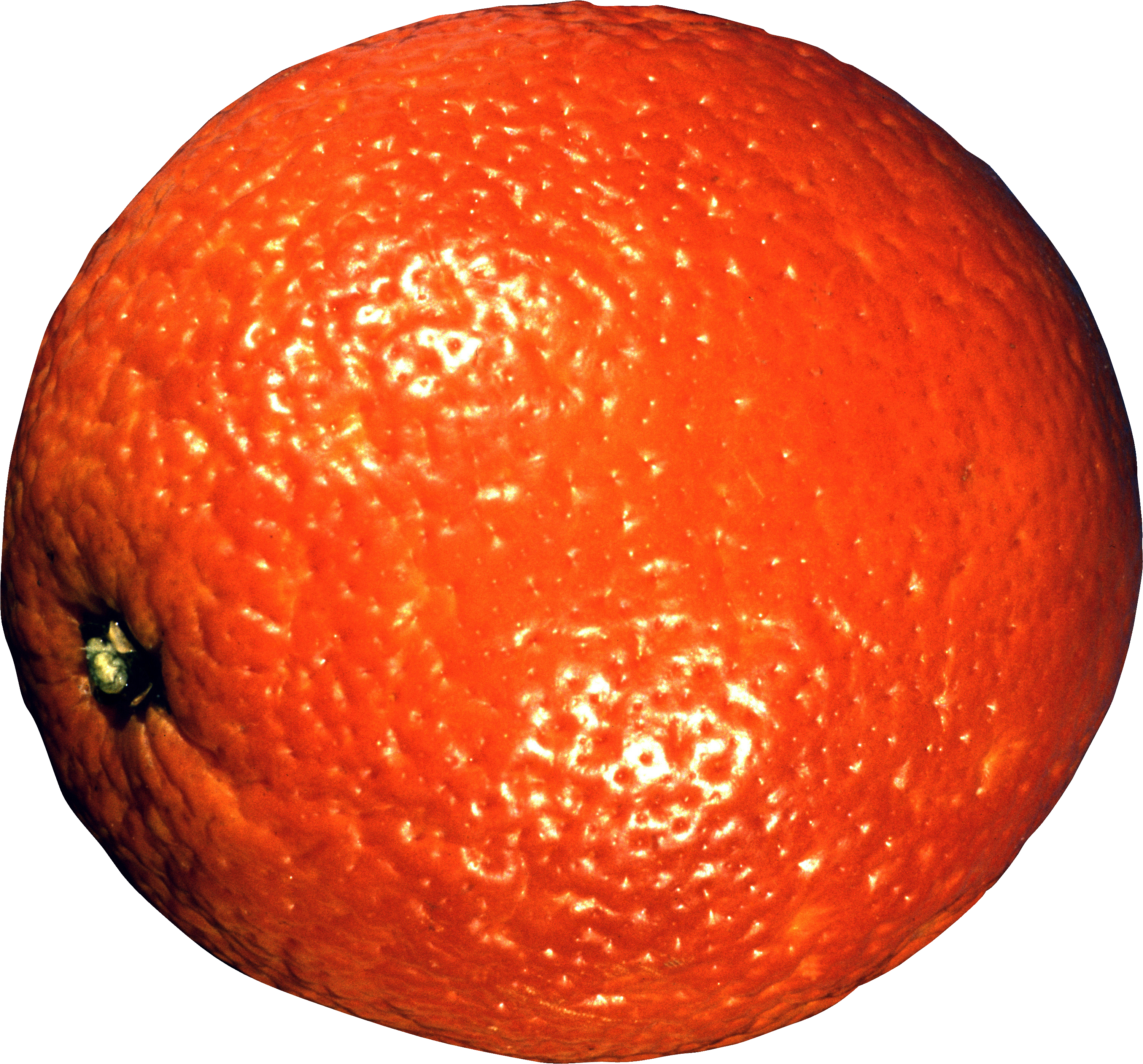 Mandarin Png - Flashcards Berries And Fruits (3005x2798), Png Download