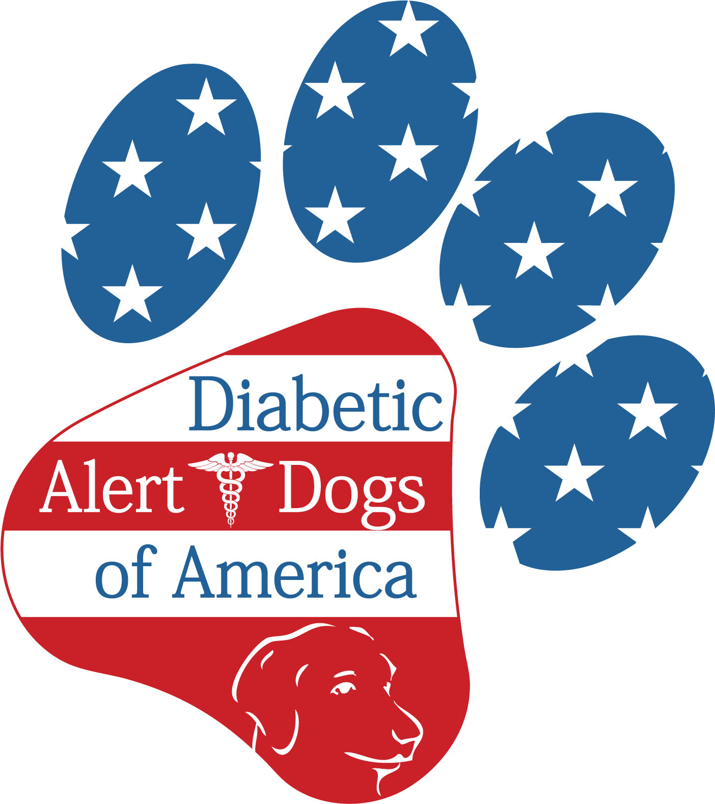 Diabetic Alert Dogs Of America (1656x1668), Png Download