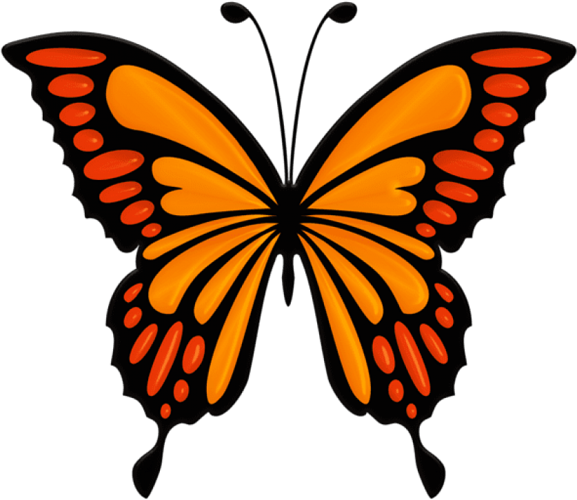 Free Png Orange Butterfly Png Images Transparent - Colorful Butterfly (850x734), Png Download