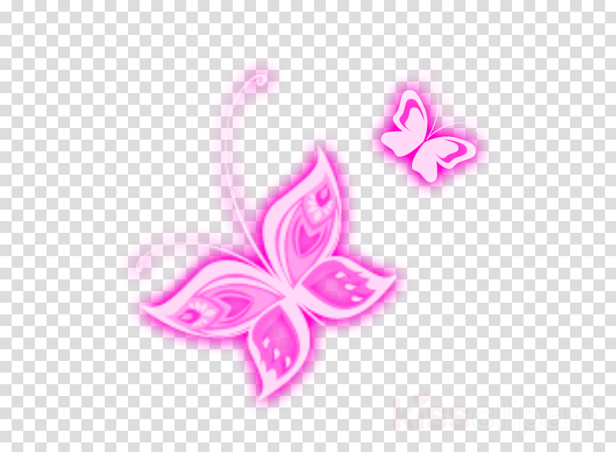 Pink Butterfly Transparent Png (900x660), Png Download