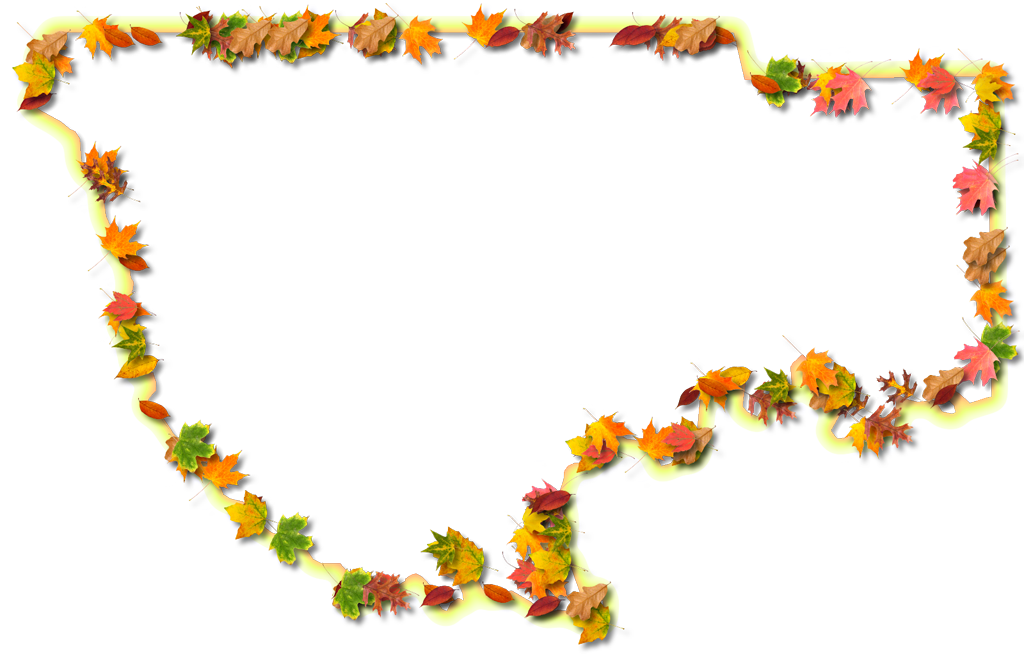 A Yellow And Orange Outline Map Of Wakulla With Fall - Floral Design (1024x654), Png Download