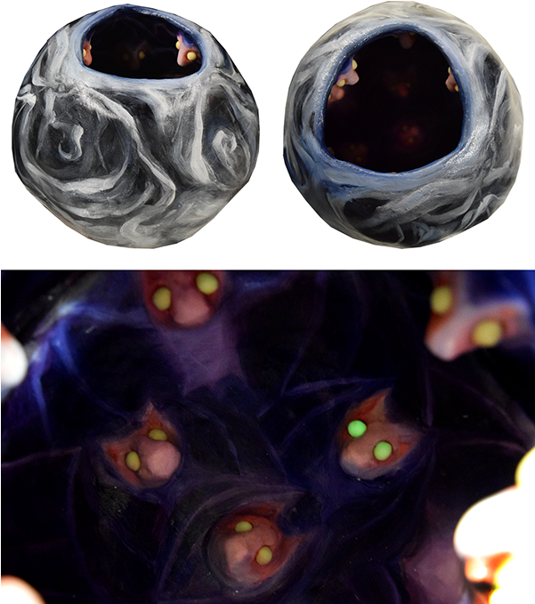 Mask Depicting The Creator God Cagn Of The San Of South - Gemstone (600x699), Png Download