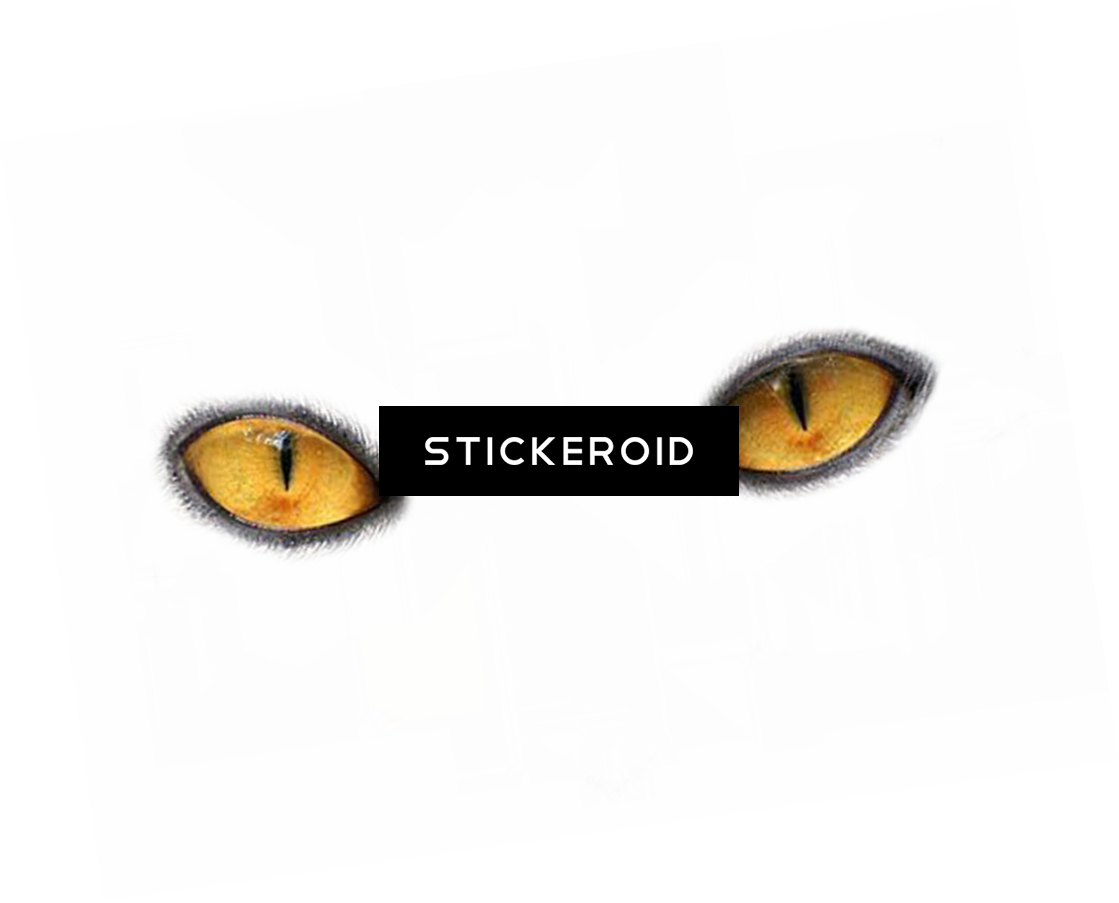 Eye Eyes - Black Cat (1119x903), Png Download