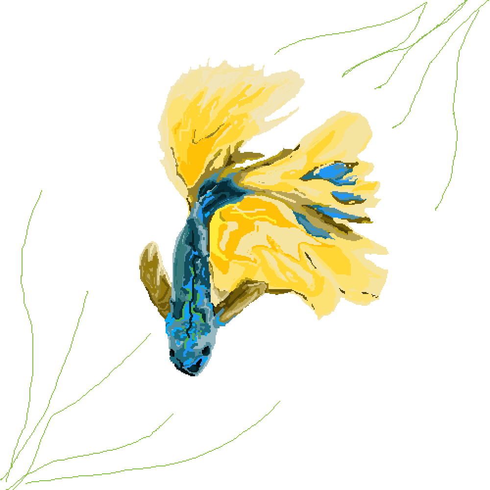 Betta Feeesh - Illustration (1000x1000), Png Download