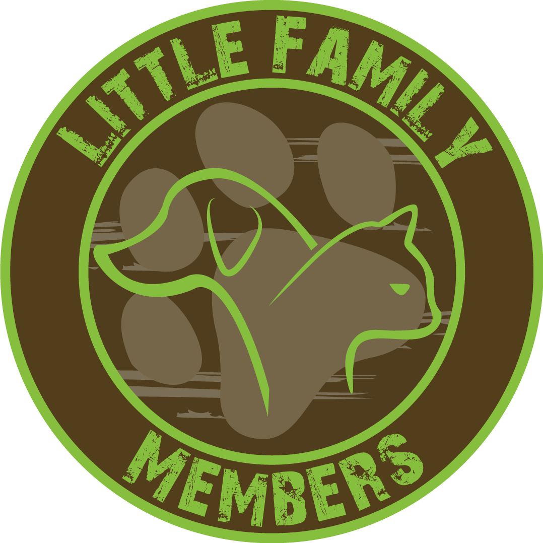 *nip* Zoo Med Labs Food Betta Dial A Treat Includes - Internet Safari (1078x1078), Png Download