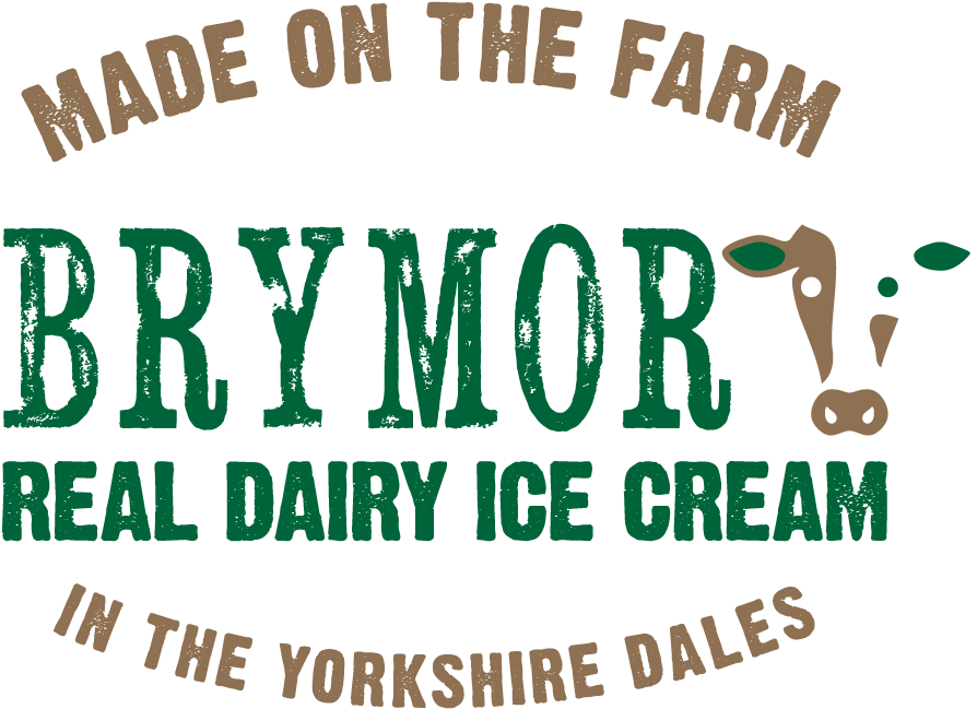 Brymor Ice Cream (973x666), Png Download