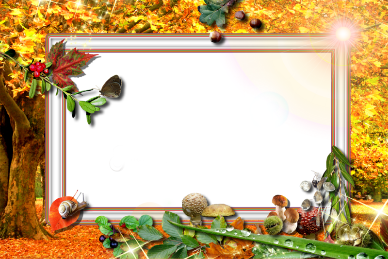 Cadre Nature Png - Seasons By Gloria Edwards (800x533), Png Download