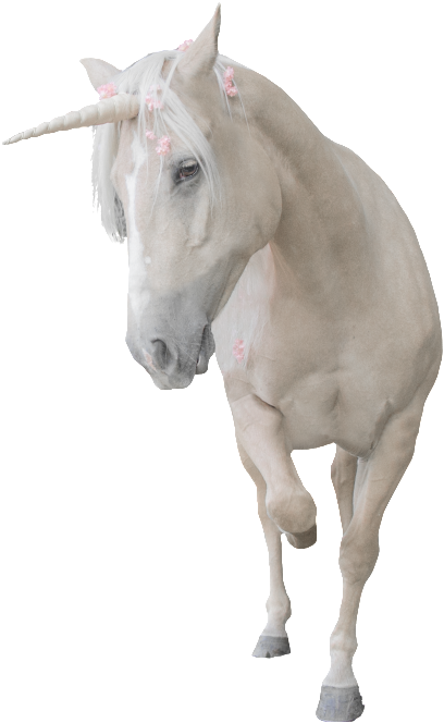 Unicorn Png Transparent That Is Running - White Dragon Horse (1024x768), Png Download