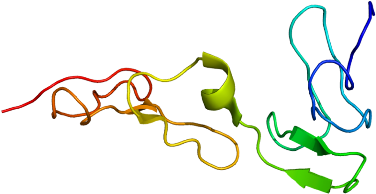 Protein Pros1 Pdb 1z6c - Proteina S (800x436), Png Download