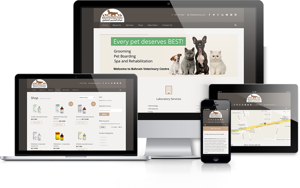 Responsive Showcase Presentation - Obraz Na Plátně 8mood Cats And Dogs, 50 X 40 Cm (1400x800), Png Download