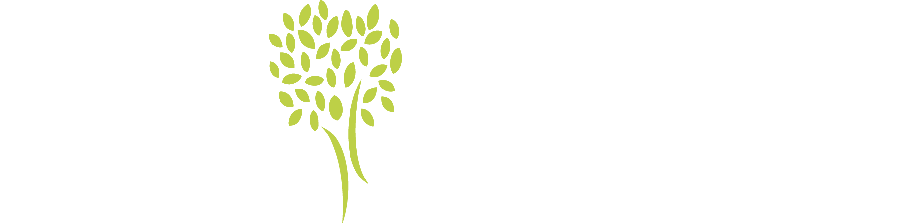 University (1833x451), Png Download