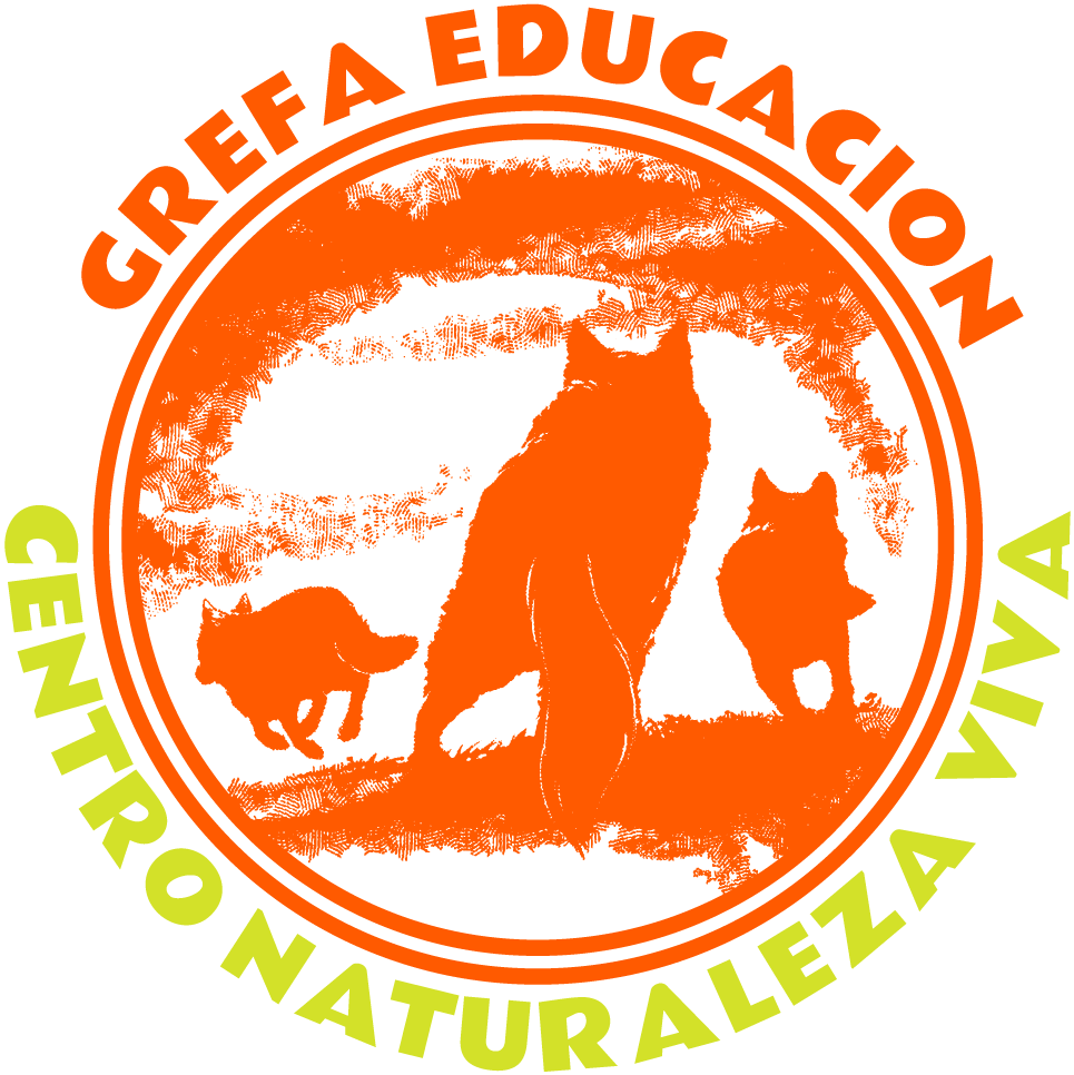 Naturaliza Viva - Cross-stitch (1000x1000), Png Download