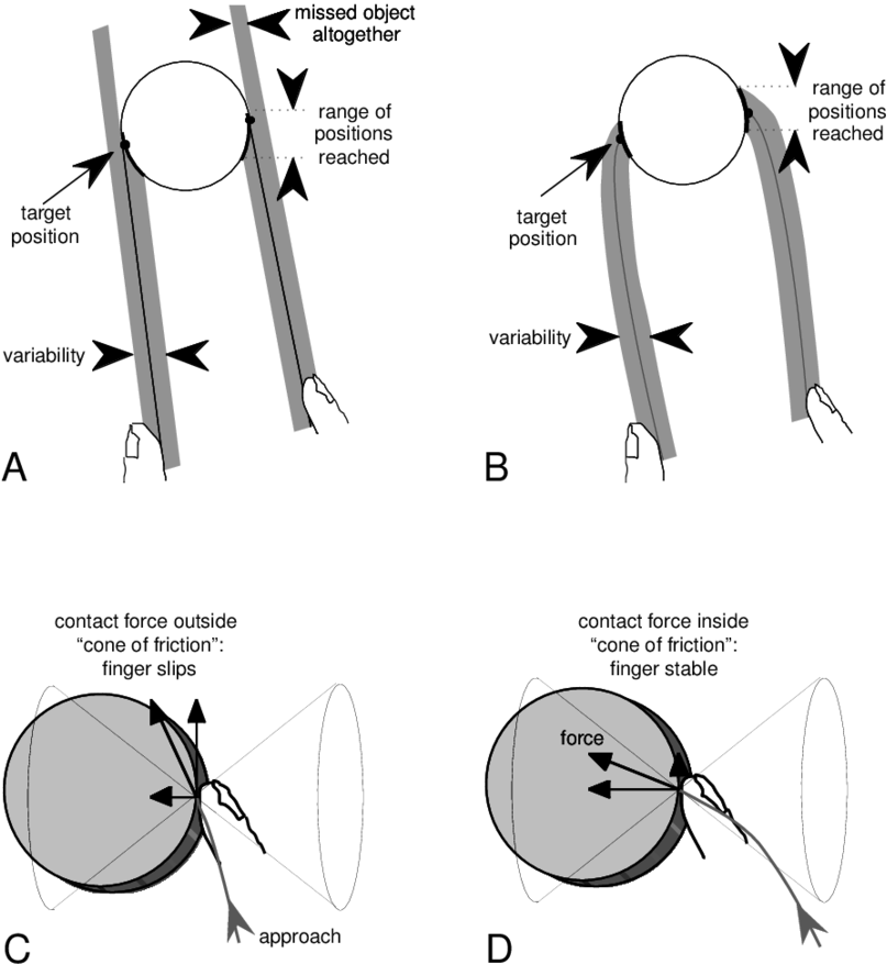 Schematic Representation Of The Trajectories Of Thumb - Spatial Variability (850x882), Png Download