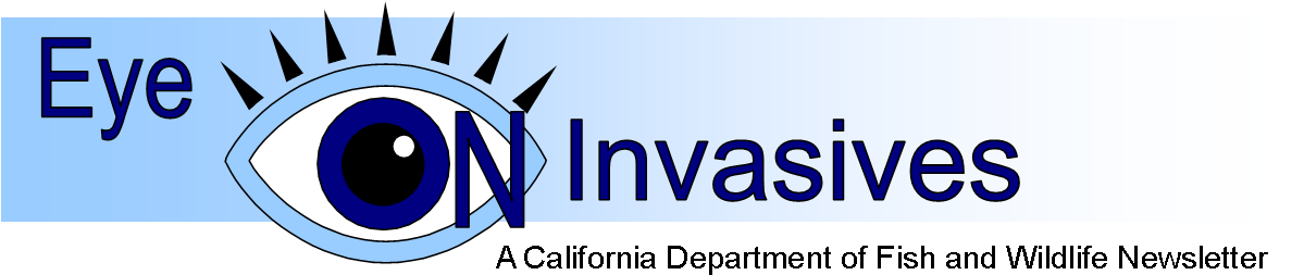 Welcome To Eye On Invasives, The California Department - British Petroleum Greenwash (1198x324), Png Download