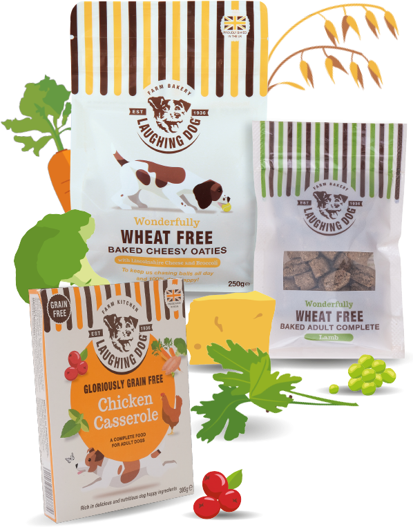 Wheat Free - Fold Hill Foods Laughing Dog Wheat Free Cheesy Oaties (600x870), Png Download