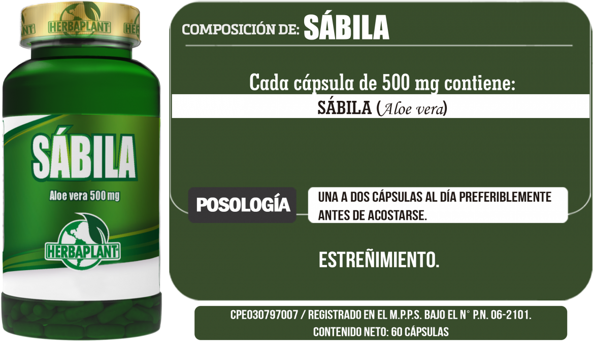 Sabila - Herbaplant (1200x721), Png Download