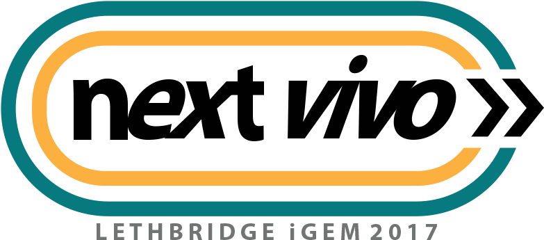 Fifteen Parts Were Improved From Our 2017 Next Vivo (1800x395), Png Download